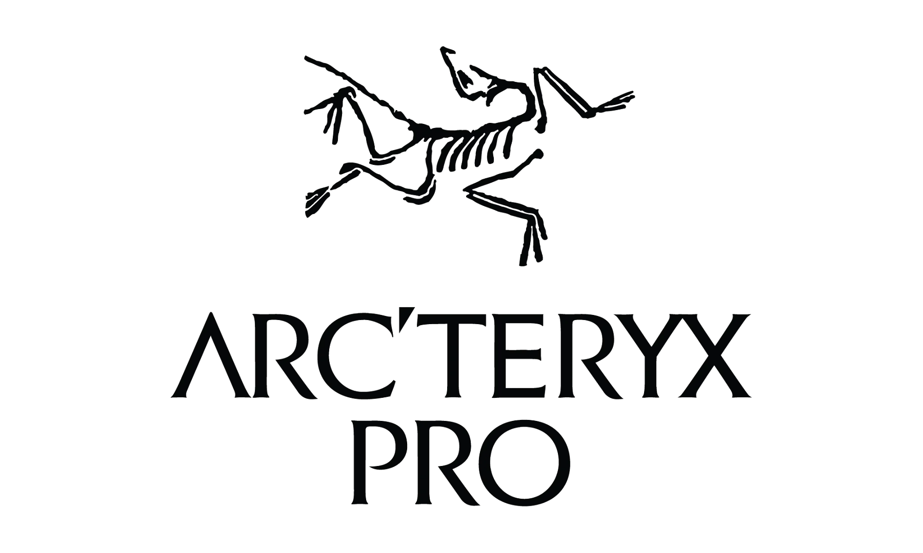 Arcteryx Pro Logo-51 Arcteryx